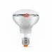 LED лампа VIDEX Filament R80FF 09W E27 1200K VL-R80FF-09271 фото 1